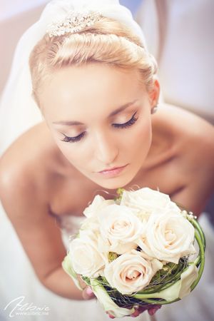 Alibric Photography - Contacts